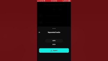 Moises app - can you export WITH VIDEO?