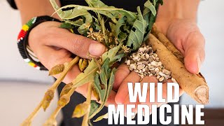 Foraging for Medicinal Plants - An educational plant walk in Colorado screenshot 2