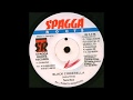 Black Cinderella Riddim Mix ★1998★ Sizzla,Sanchez,Terror Fabulous more (Spragga Roots) Mix By