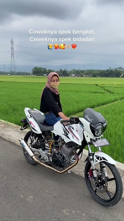 Story Wa Kata-kata Herex Tiger Viral