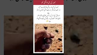 The Miracle of Dur-e-Najaf: Searching for Precious Stones in Najaf #DureNajaf #Najaf