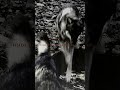 Wretched's new track "Radiance" is now playing! #wretched #metal #metalblade #deathmetal