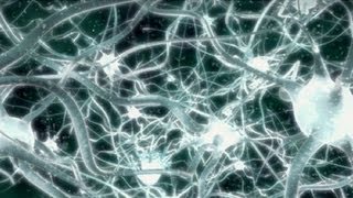 Neurobiologist David Eagleman Looks Underneath the Hood of the Brain