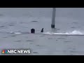 Harrowing shark attack in Florida captured on camera