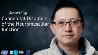 Rare Disease Day 2025: Congenital Disorders of the Neuromuscular Junction