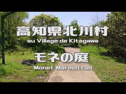 散る花や鳥のさえずり緑萌ゆ ＠モネの庭 Monet Marmottan 高知県北川村