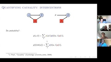 Nikolai. Miklin: Quantifying causal influences in the presence of a quantum common cause