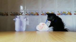 Títeres Cocorico. Escola Infantil Mondoñedo