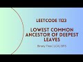 Leetcode 1123. Lowest Common Ancestor of Deepest Leaves | BFS | Intuitive Approach