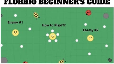 Florr.io Tutorials: Surviving In Easy- A Beginners Guide To Florr.io (Ft. {WB}P1)