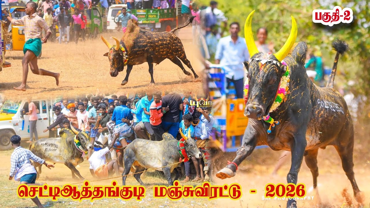 செட்டியாத்தங்குடி மஞ்சுவிரட்டு பகுதி -2 2026 (சிவ. மா )