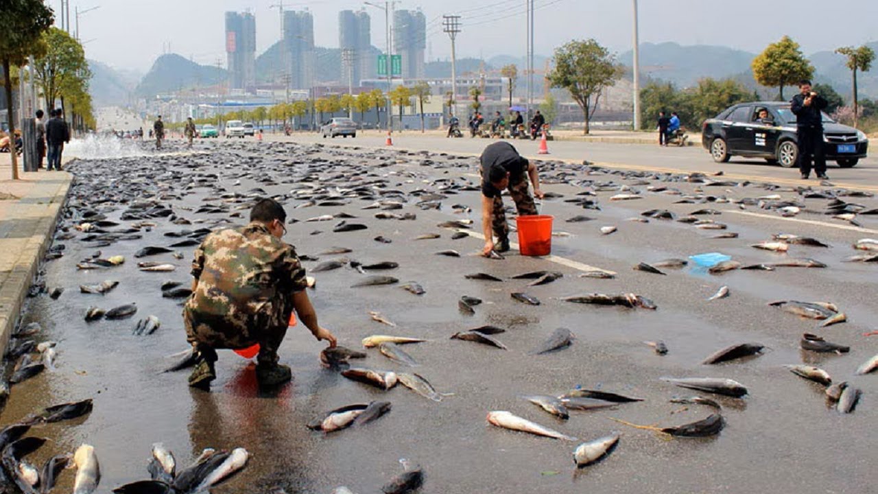 Самые Эпичные Природные Феномены