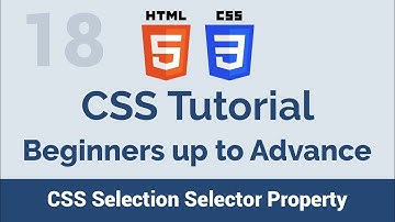 18 CSS Selection Selector - beginners up to advance css tutorial
