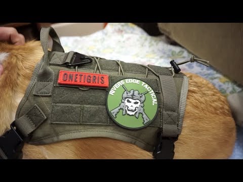 One Tigris Tactical Service Vest Dog Harness