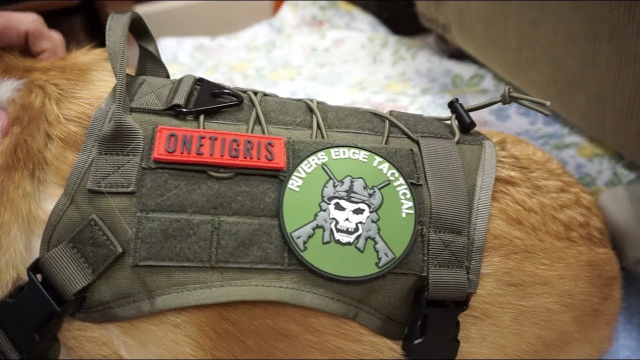 dog vest with patches