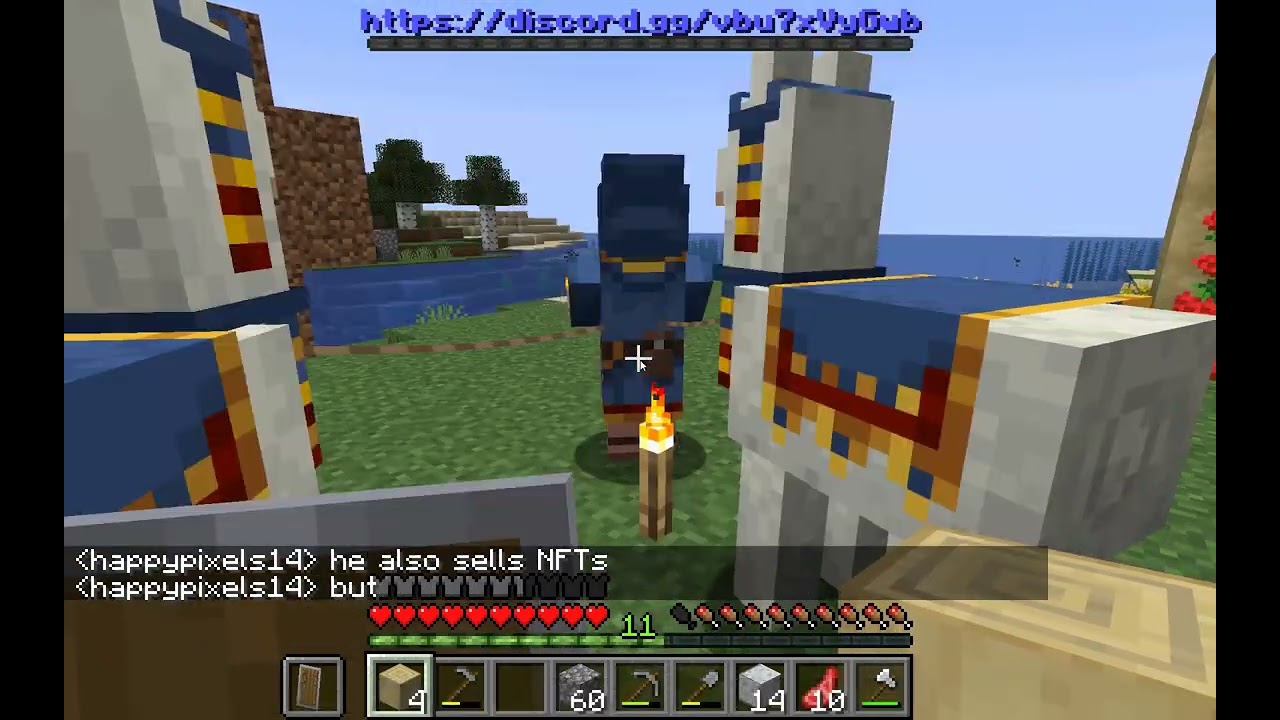 Making an NFT store on Life SMP! A brand new SMP.