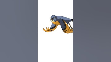 Birds vs Mirrors 🤣 Hilarious Reflection Collisions! #Shorts