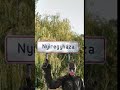 Batman Nyíregyháza #batman #denevérember #nyíregyháza