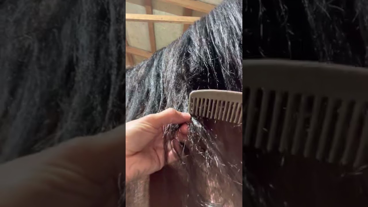 Mane/hair detangle oil, calming ASMR