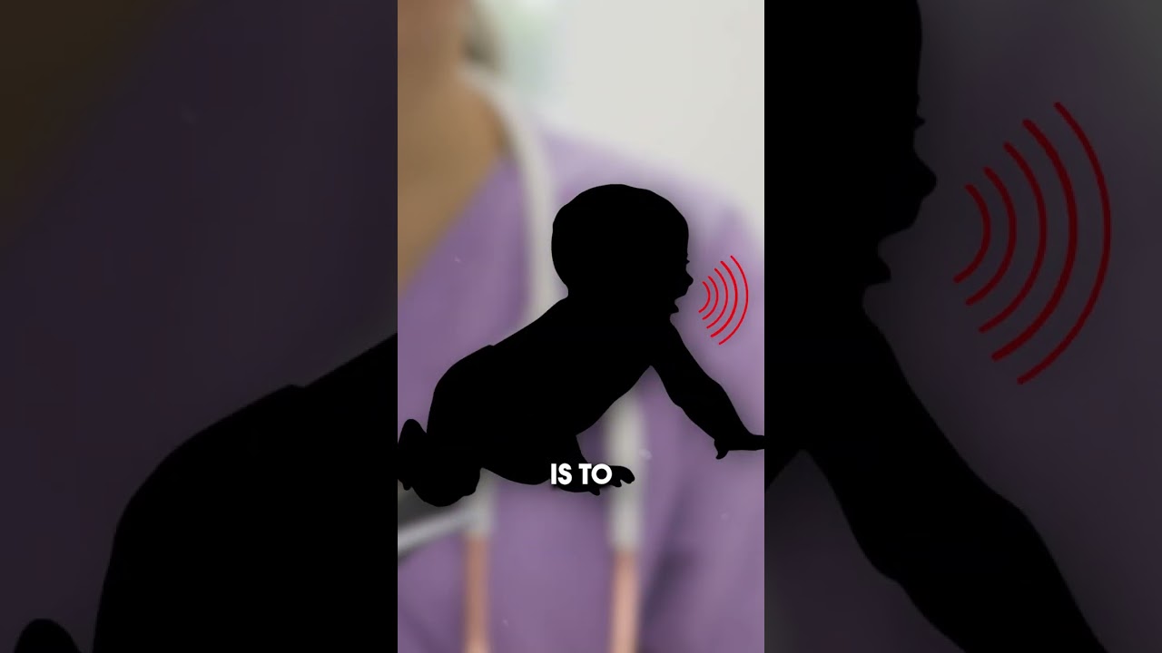 Как извиниться перед своей собакой?