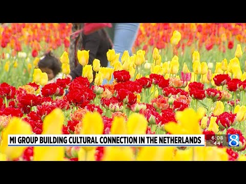 Maranda checks in from the Netherlands