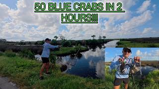 50 Crabs in 2 HOURS! Florida ditch crabbing went CRAZY!!!