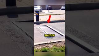 Sweden’s Genius Speed Bump 🚗