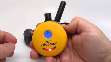 E-Collar Technologies Mini Educator New Tone Mode
