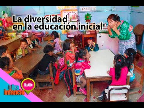 Video: ¿Por qué es importante la diversidad en la educación de la primera infancia?
