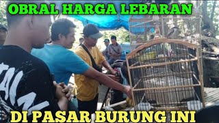 LEBARAN DI PASAR BURUNG INI  HARGA BURUNGNYA DI OBRAL