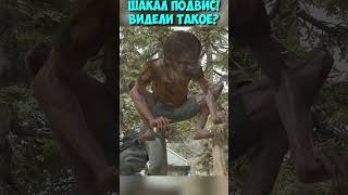 Шакал ПОДВИС! Видели такое? #shorts #daysgone #жизньпосле #шакал #прикольныйбаг