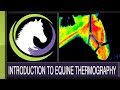 Equitopia presents: An Introduction to Equine Thermography