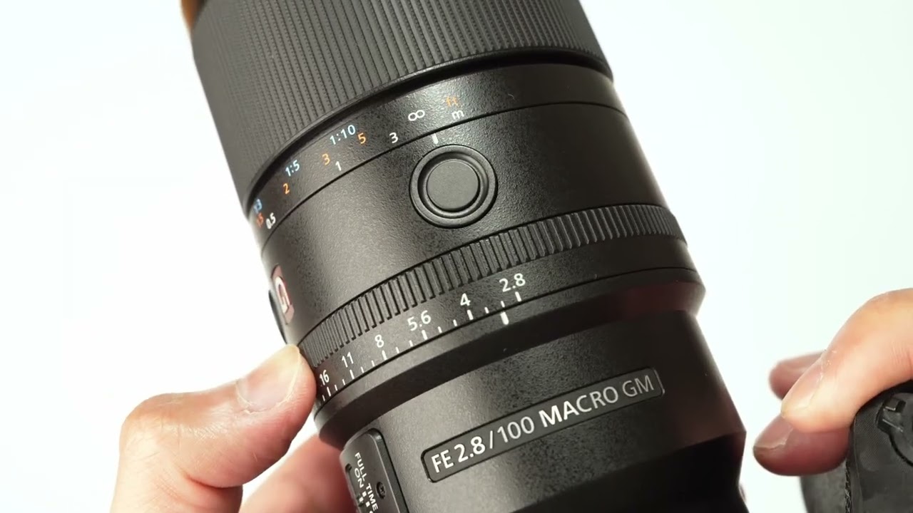 長期レビュー】作例付きでSONY FE 100mm F2.8 Macro GM OSS