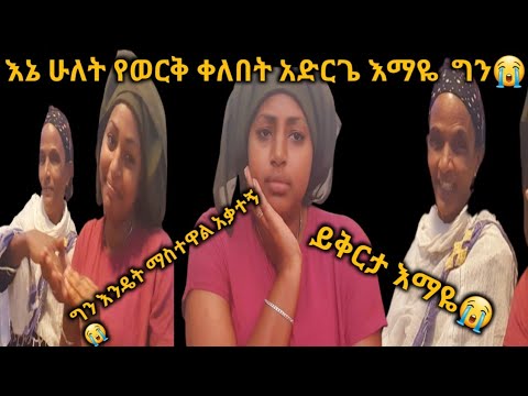 ቪዲዮ: ቲዮ የወርቅ ፊንች ሥዕል መልሶ አገኘ?