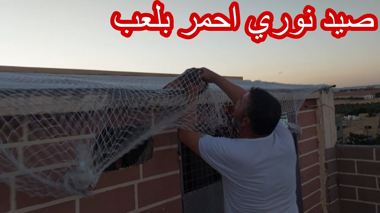 صيد نوري احمر على العب الجديد وكش جنون مع ابو ناجي