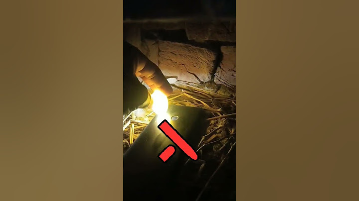 How to Check Eggs 🥚 || Anda ma Bacha hai K Nahi    Tarika || #shorts #youtubeshorts