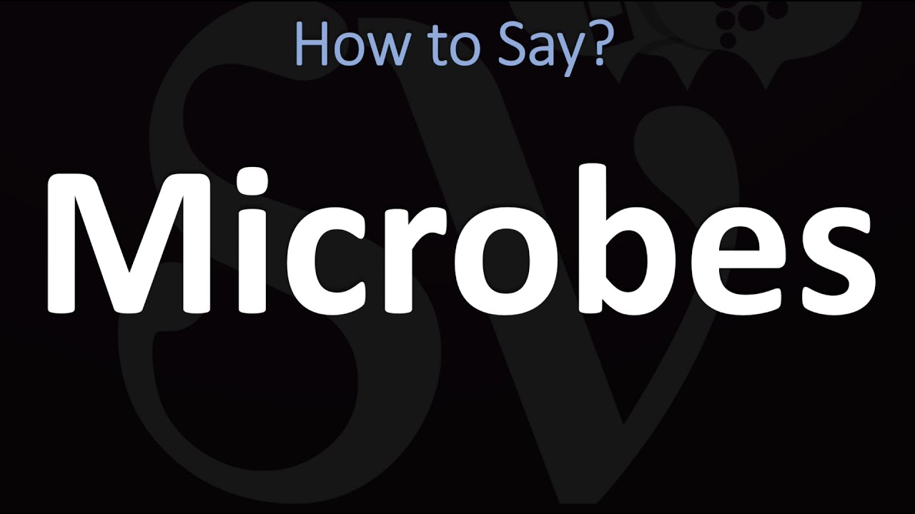 How To Pronounce Microbes? (Correctly)