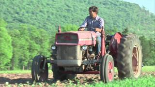 Sunshine & Steve, organic farmers