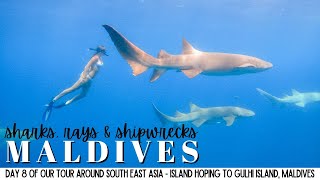Shipwreck, Sharks & Stingrays Maldives Daily Vacation Vlogs Travelling Thro South East Asia