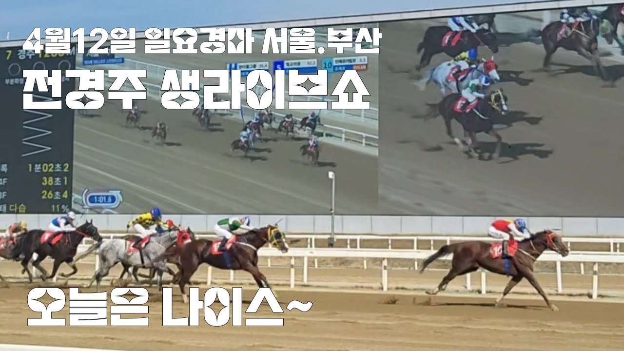 경마가 안마차준다면 내가 경마를 마차야지?( 전경주 생라이브쇼)