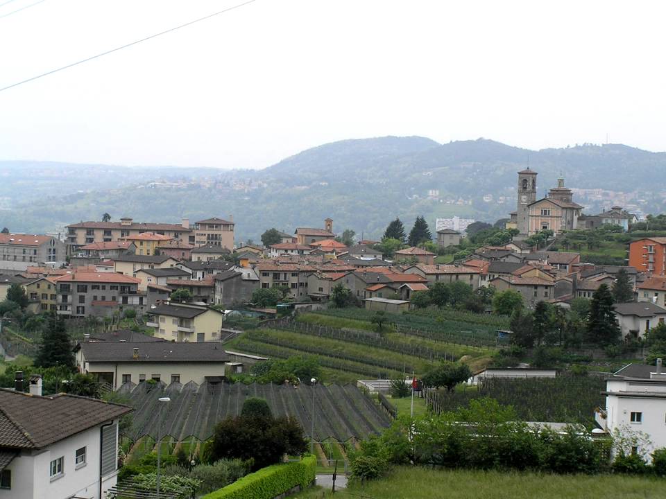 Campane di Morbio Inferiore (Basilica) d'allegria