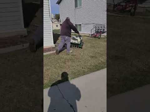 Aerating A Lawn Do You Aerate Shorts 