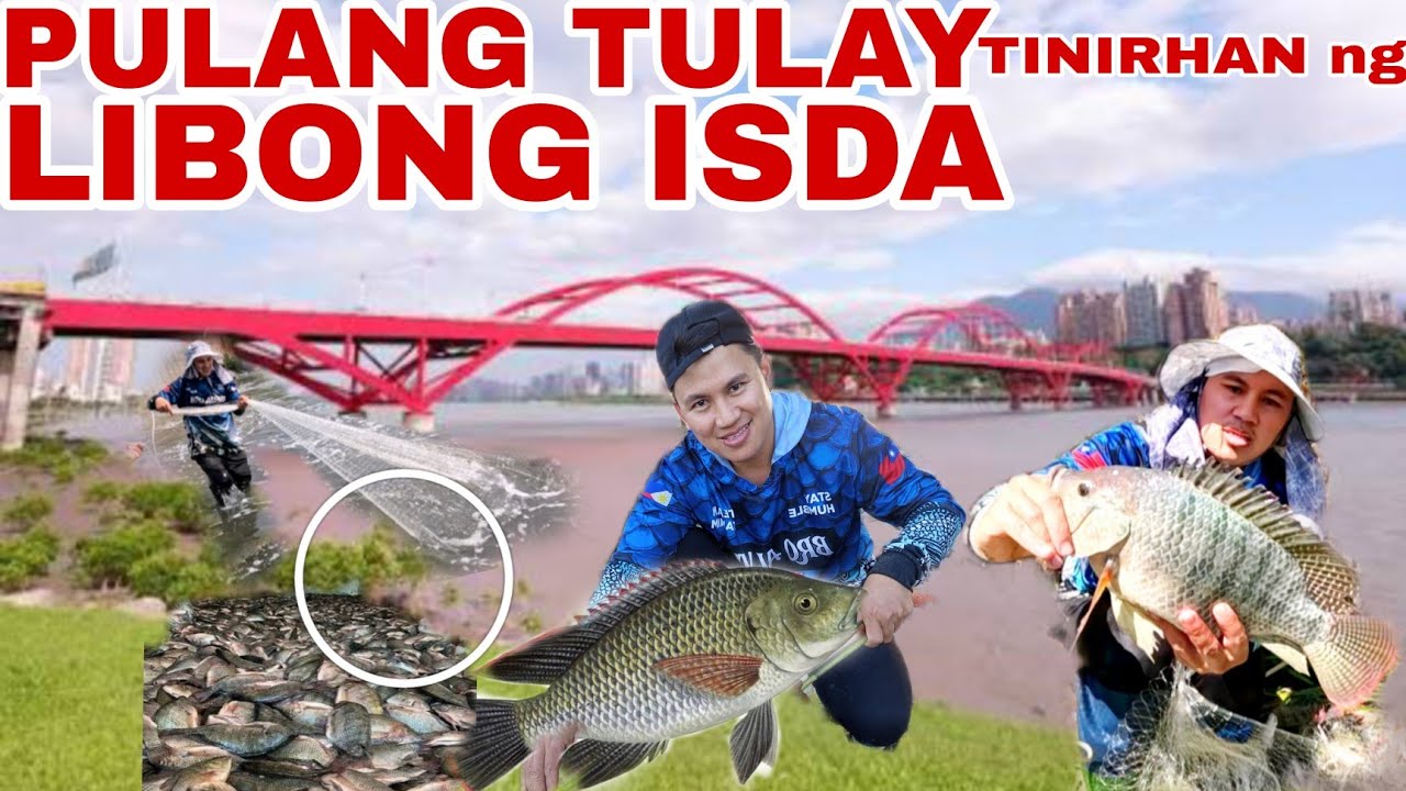 Pulahang Isda NAIPON sa TULAY,Napakaraming Huli😱 OFW TAIWAN FISHING