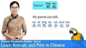 Learn Animals and Pets in Mandarin | Vocab Lesson 11 | Chinese Vocabulary Builder Series