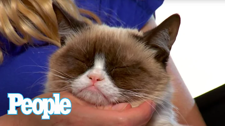 Can Grumpy Cat Smile? I PEOPLE Pets | People