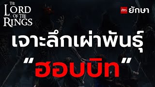 เจาะลึกข้อมูลเผ่าพันธุ์ : "ฮอบบิท"