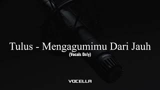 Tulus - Mengagumimu Dari Jauh (Acapella/Vocals Only)