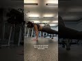 Let’s not talk about my form ok #dailyshorts #ootd #trending #views
