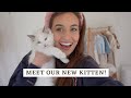 WE GOT A KITTEN | our first week with Dolly