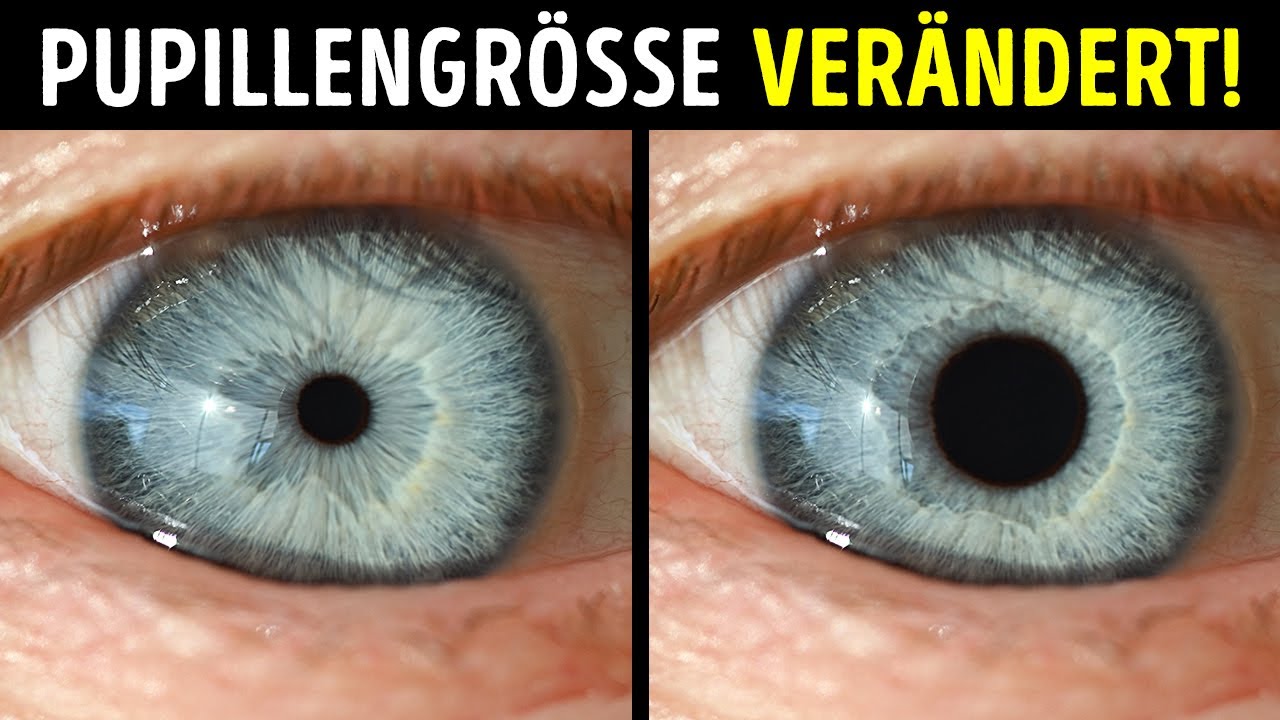 Wie Sehen Die Pupillen Aus Wenn Man Gekifft Hat Er kann seine Pupillengröße kontrollieren + 10 Menschen mit